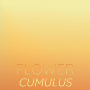ดาวน์โหลดและฟังเพลง Flower Cumulus พร้อมเนื้อเพลงจาก Shaa Feen