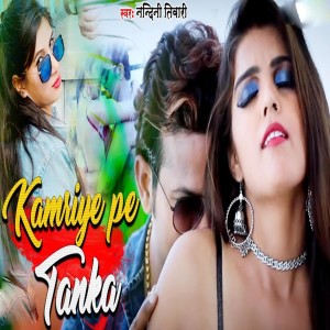 收听Nandani Tiwari的Kamariye Pe Tanka歌词歌曲