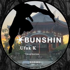 Listen to Imagination song with lyrics from Ufuk K
