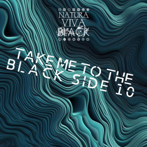 Various Artists的專輯Take Me to the Black Side 10