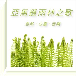 收聽貴族樂團的亞馬遜雨林之歌歌詞歌曲