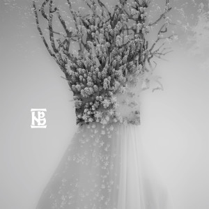 Negura Bunget的專輯Tinerețe Fără Bătrânețe (Single Edit)