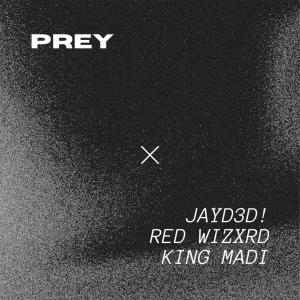 ดาวน์โหลดและฟังเพลง PREY (feat. King Madi & Red Wizxrd) (Explicit) พร้อมเนื้อเพลงจาก JXYKXLLJXY