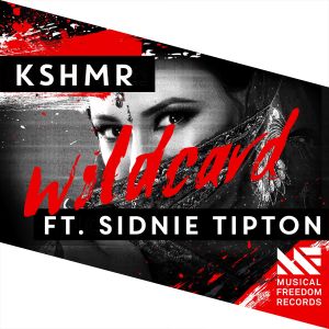 收聽Sidnie Tipton的Wildcard (feat. Sidnie Tipton)歌詞歌曲