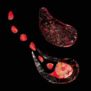 Listen to How You Swallowed your Anger song with lyrics from Black Sea Dahu