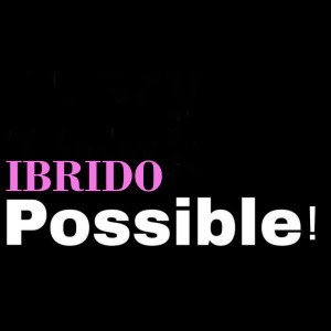 收聽Ibrido的Possible !歌詞歌曲