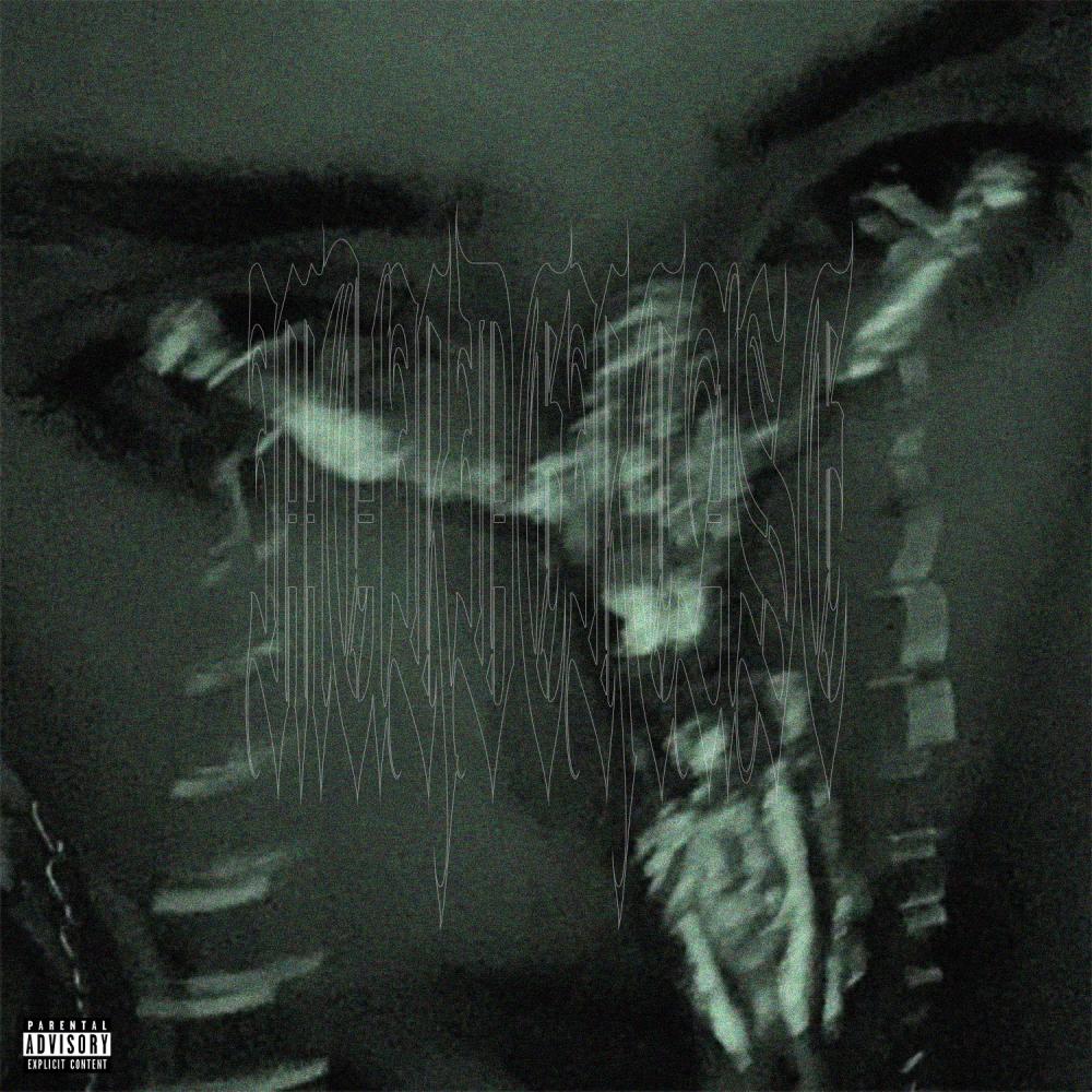 MurderCase (feat. NOVISION, Lord Distortion & LXXIV) (Explicit)