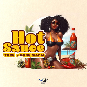 Listen to Hot Sauce (Explicit) song with lyrics from TRNS