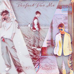 Angel Lunar的專輯Perfect For Me (feat. Zizou Blod & The Dragon) [Explicit]