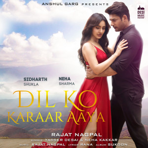 Listen to Dil Ko Karaar Aaya (From "Sukoon") song with lyrics from Yasser Desai
