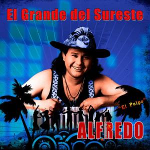 ดาวน์โหลดและฟังเพลง La Guera Salome / La Suavecita / Juana la Cubana / Sergio el Bailador / Que No Me Quiso el Ejercito / Cucha Cucha / La Medallita / Cumbia Barullera / El Manicero / El Dengue พร้อมเนื้อเพลงจาก Alfredo "El Pulpo" Y Sus Teclados