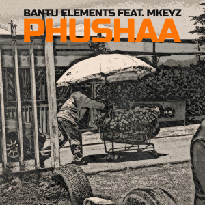 Bantu Elements的專輯Pushaa (feat. Mkeyz)
