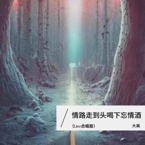 Dengarkan 情路走到头喝下忘情酒 (Live合唱版) lagu dari 大美WH dengan lirik