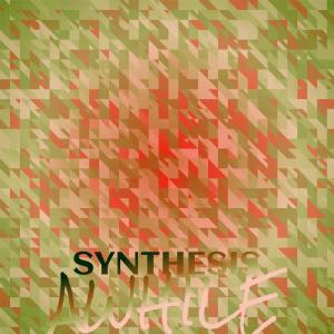 Various Artists的專輯Synthesis Awhile