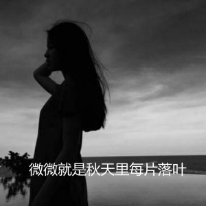 Listen to 微微就是秋天里每片落叶 song with lyrics from 不靠谱