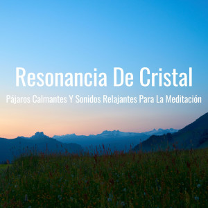 Meditación的专辑Resonancia De Cristal: Pájaros Calmantes Y Sonidos Relajantes Para La Meditación