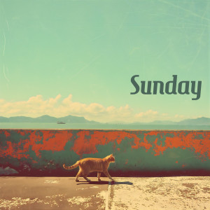 อัลบัม Sunday ศิลปิน SKUNK