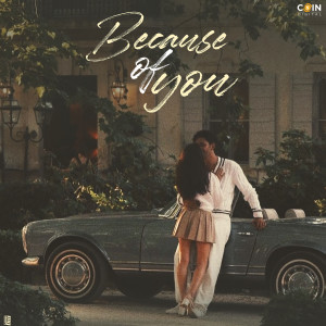 ดาวน์โหลดและฟังเพลง Because Of You พร้อมเนื้อเพลงจาก Preet Chahal