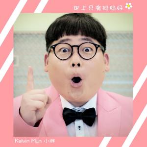 收听小胖的世上只有媽媽好歌词歌曲