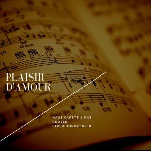收聽Hans Carste & das Grosse Streichorchester的Largo歌詞歌曲