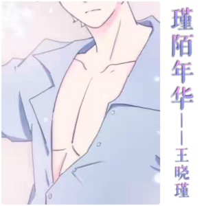 Listen to 等你老了 song with lyrics from 王晓瑾