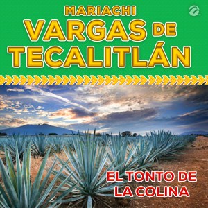 收聽Mariachi Vargas De Tecalitlan的El Tonto de la Colina歌詞歌曲