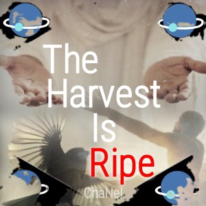Chanel的專輯The Harvest Is Ripe