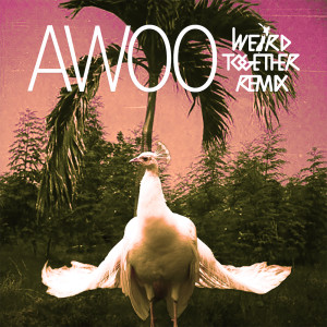 ดาวน์โหลดและฟังเพลง Awoo (Weird Together Remix) พร้อมเนื้อเพลงจาก Sofi Tukker