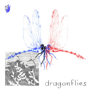 Kharfi的專輯dragonflies