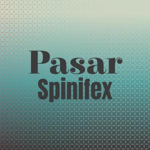 Listen to Paseo Cheerleader song with lyrics from Josee Zhuo