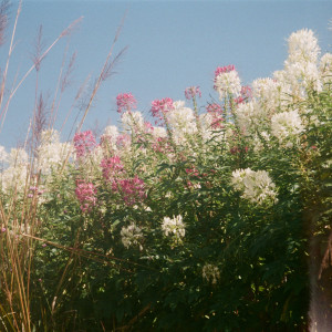 收听Guzt的ของขวัญปีนี้歌词歌曲