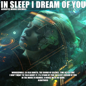 Album In Sleep I Dream Of You from Acoustic Moods Ensemble