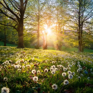 ดาวน์โหลดและฟังเพลง Dancing Through The Winds Of Change พร้อมเนื้อเพลงจาก Happy Relaxing Piano Music