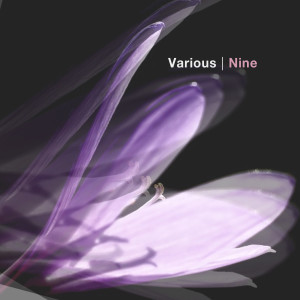 Listen to Aufstieg song with lyrics from Visum