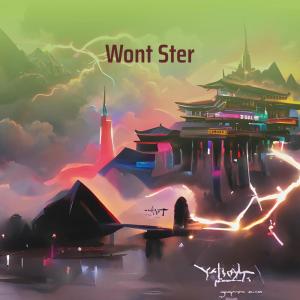 Wont Ster (Remix)