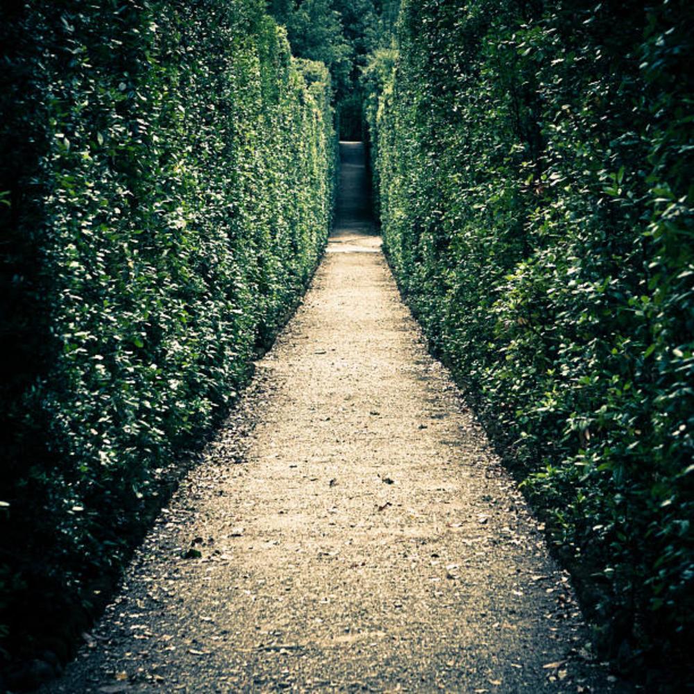 The Labyrinth