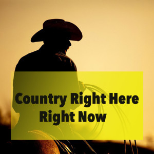 Listen to Hang 'Em High song with lyrics from Western Themes