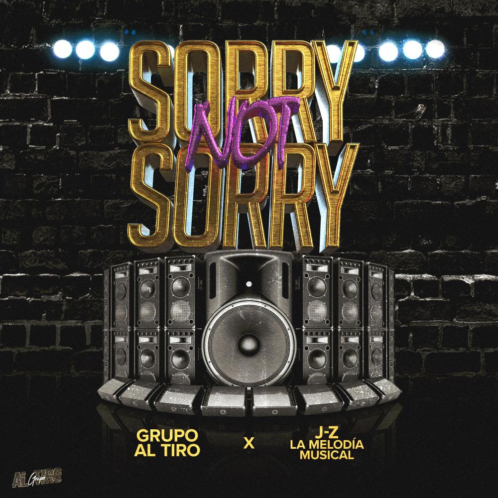 Sorry Not Sorry (feat. J-Z La Melodia Musical) (Explicit)