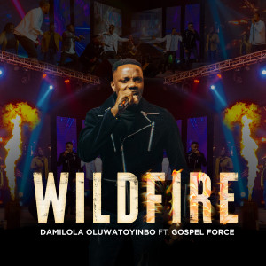 Album Wildfire from Damilola Oluwatoyinbo