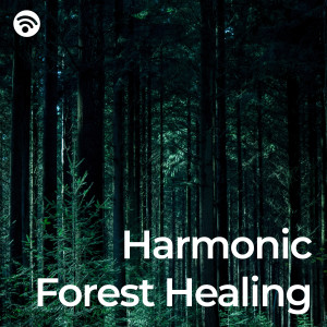 อัลบัม Harmonic Forest Healing ศิลปิน Milo Heart
