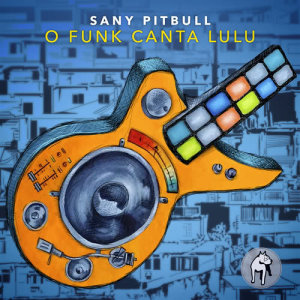 收聽Sany Pitbull的Vai Entender歌詞歌曲