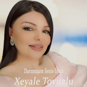 Listen to Darıxmışam Senin Üçün song with lyrics from Xeyale Tovuzlu