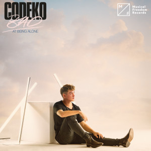 ดาวน์โหลดและฟังเพลง Bad At Being Alone พร้อมเนื้อเพลงจาก Codeko
