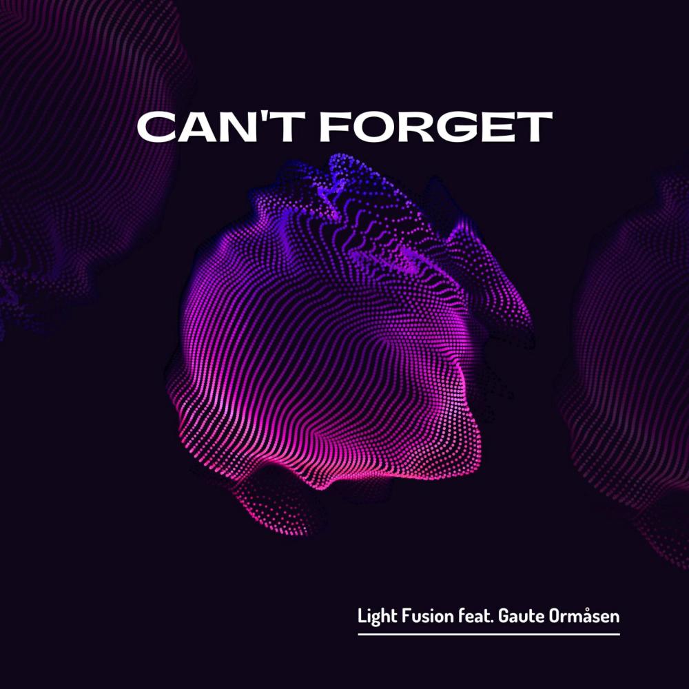 Can't Forget (feat. Gaute Ormåsen)