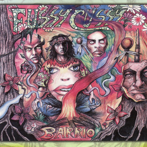 ดาวน์โหลดและฟังเพลง Barrio Rhythem Mix พร้อมเนื้อเพลงจาก Fussy Cussy