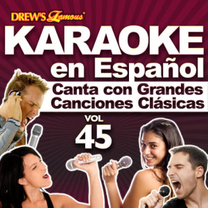 อัลบัม Karaoke en Español: Canta Con Grandes Canciones Clásicas, Vol. 45 ศิลปิน The Hit Crew