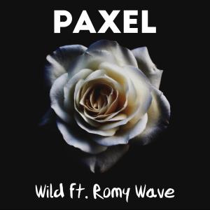 收聽Paxel的Wild(feat. Romy Wave)歌詞歌曲