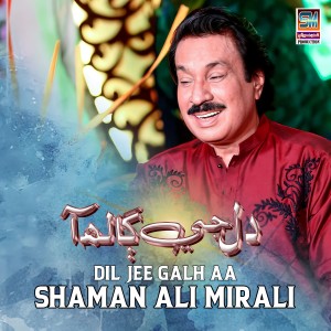 收听Shaman Ali Mirali的Dil Jee Galh Aa歌词歌曲