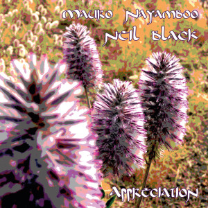 ดาวน์โหลดและฟังเพลง Appreciation พร้อมเนื้อเพลงจาก Mauro Nayamboo