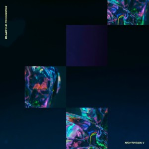 Various Artists的專輯Night Vision V